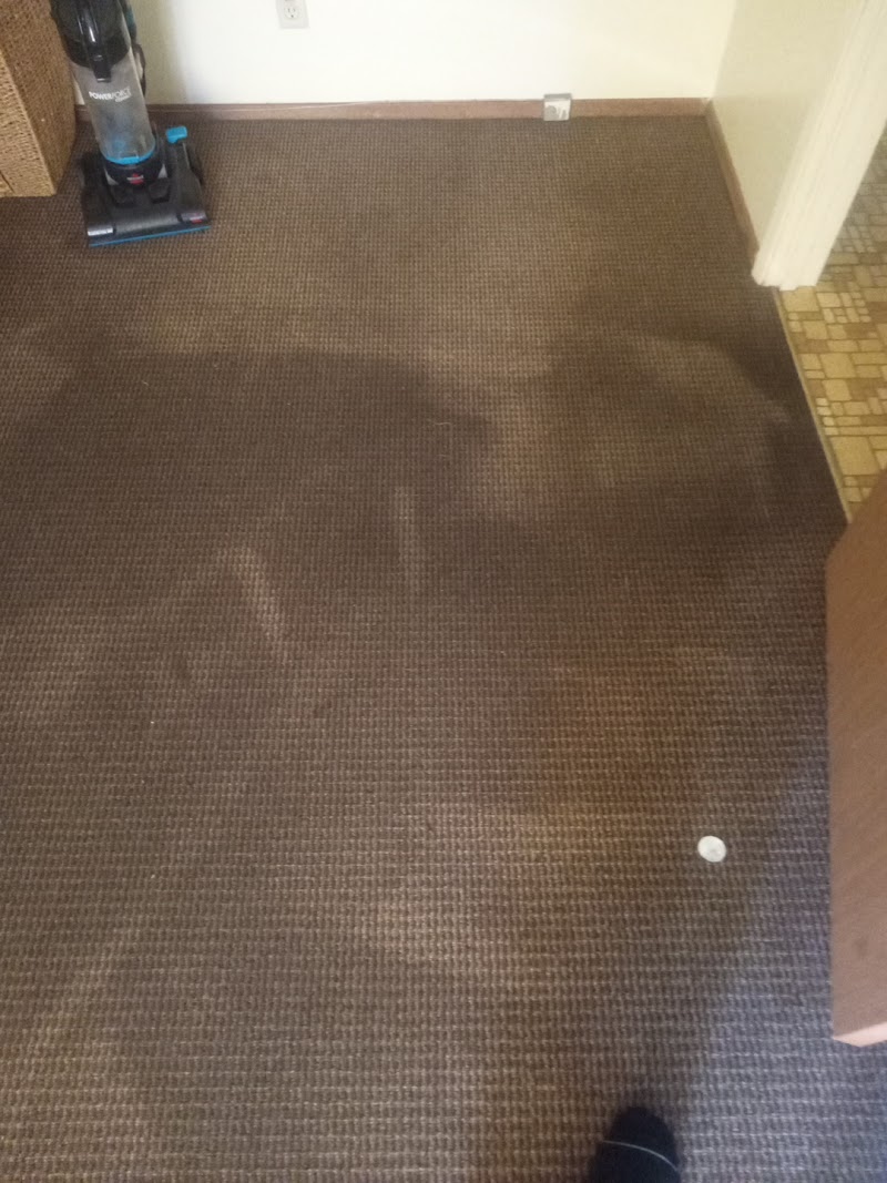 Town & Country Carpet Cleaning photo 4