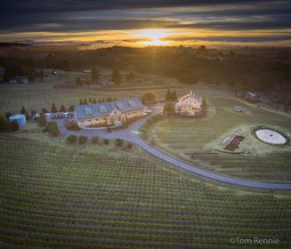 Photo of Merriam Vineyards