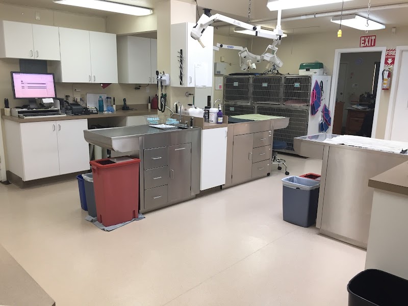 VCA Forestville Animal Hospital photo 2