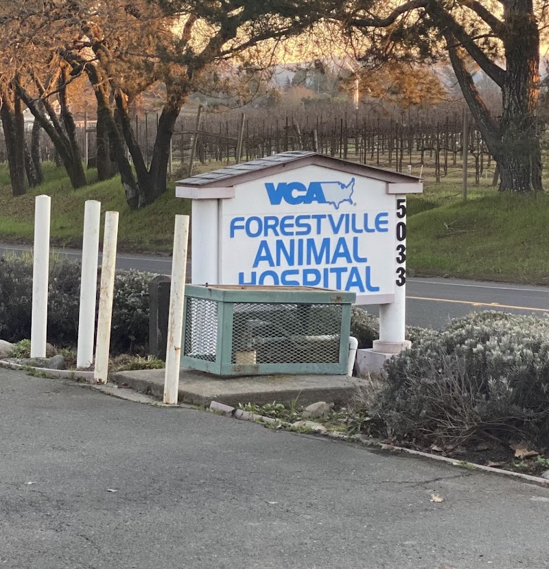 VCA Forestville Animal Hospital photo 3