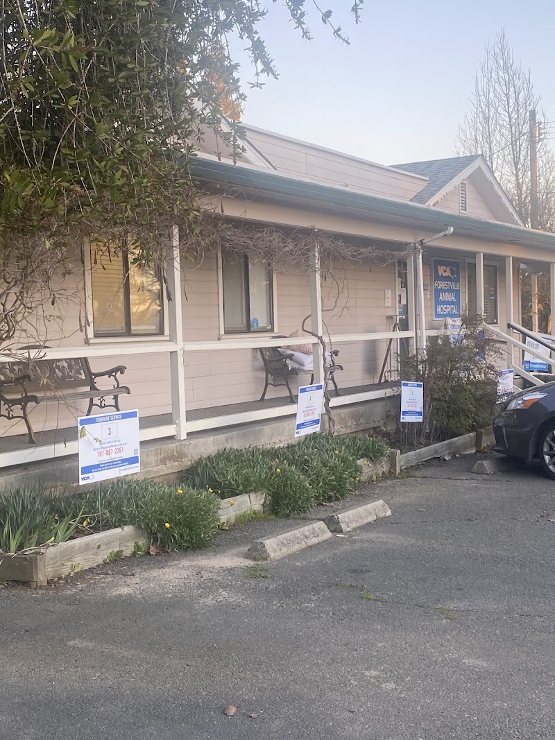 Photo of VCA Forestville Animal Hospital
