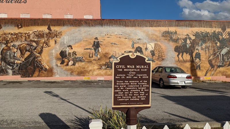 The Brooksville Common photo 2