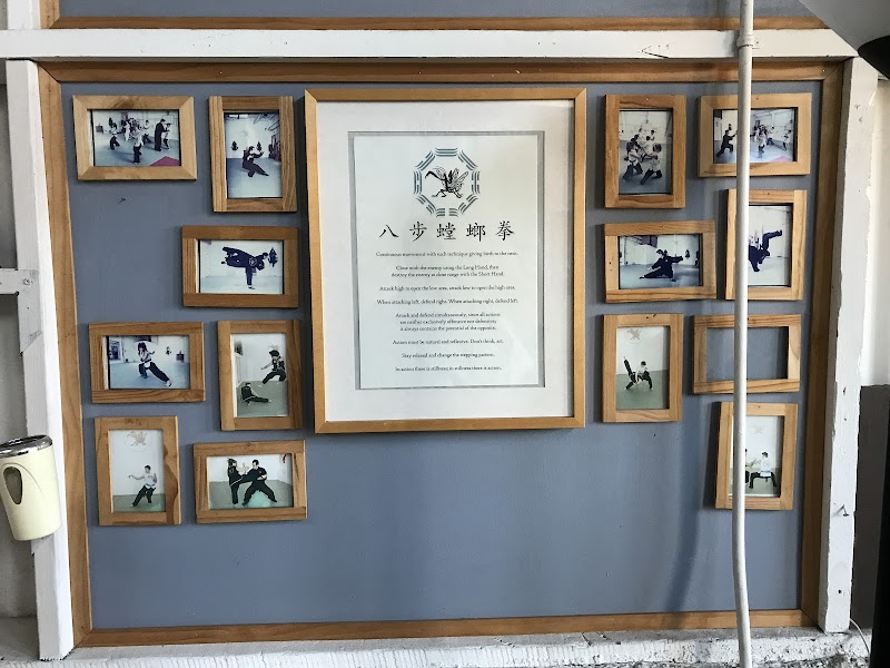Eight Step Mantis Kung Fu & Taiji photo 4