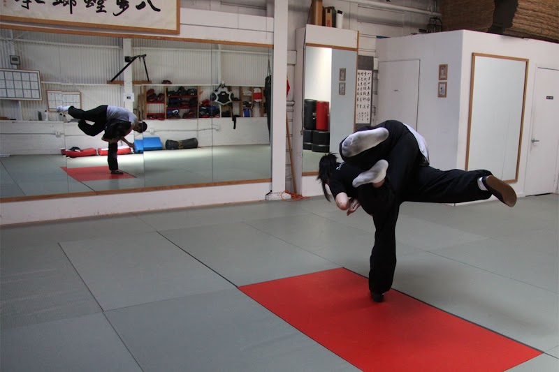 Eight Step Mantis Kung Fu & Taiji photo 2