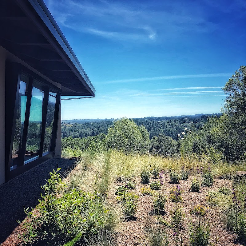 Gary Farrell Vineyards & Winery photo 4