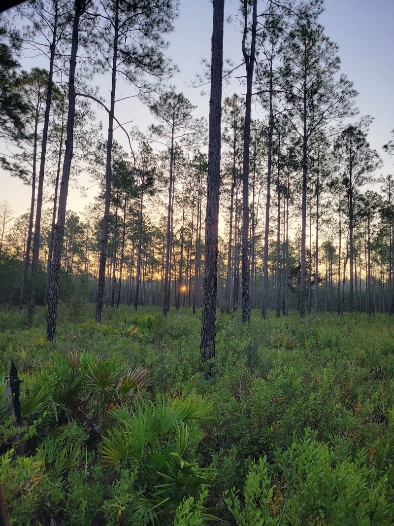 Photo of Richloam Wildlife Management Area