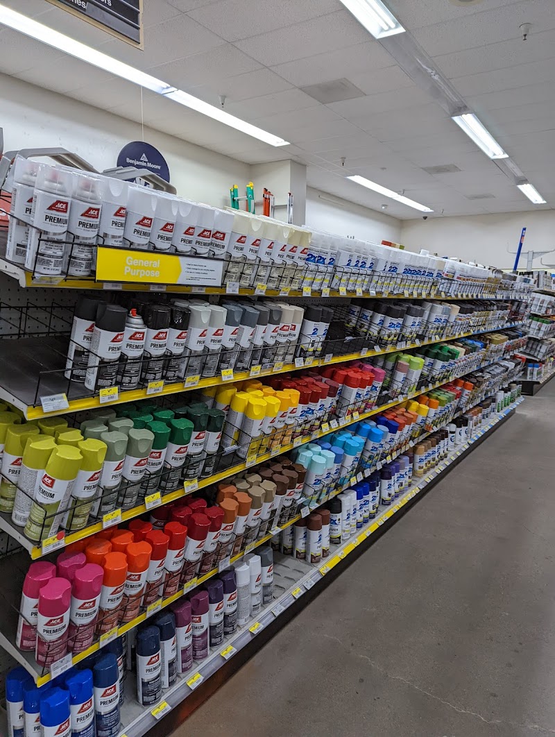 Ace Hardware photo 4