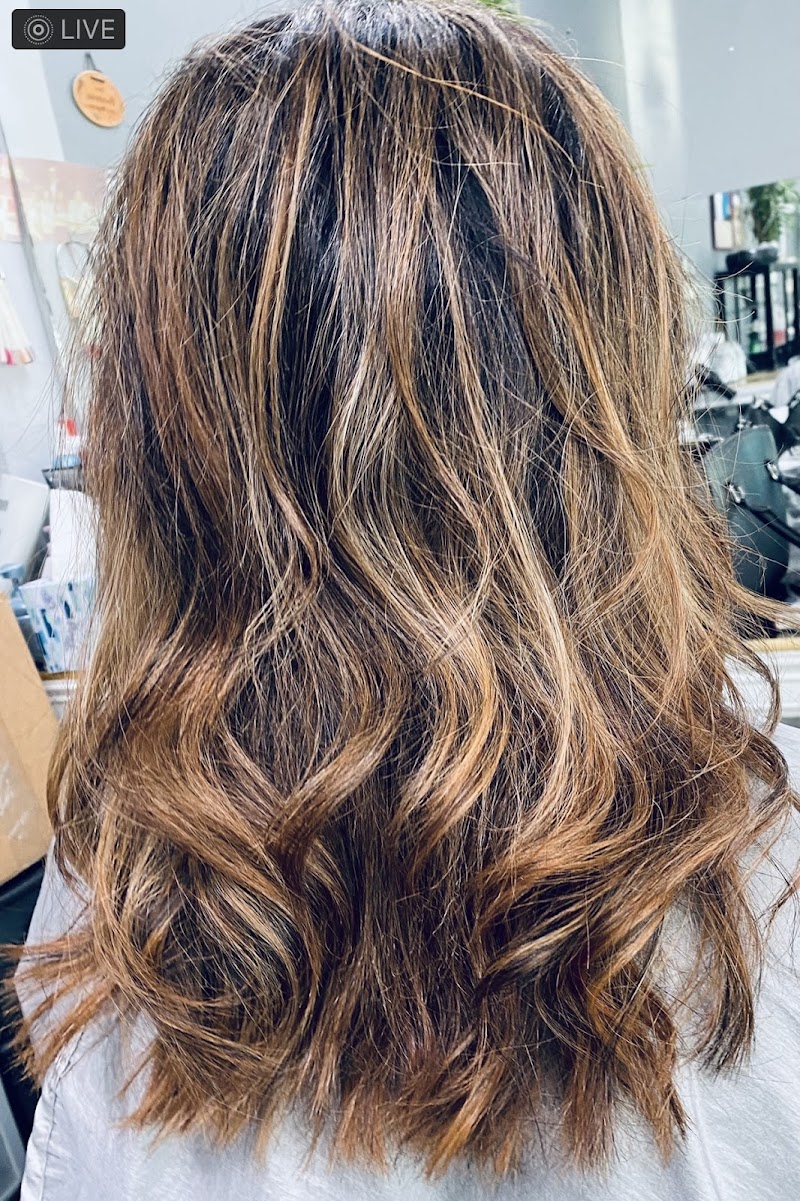 Hair and Hair photo 4