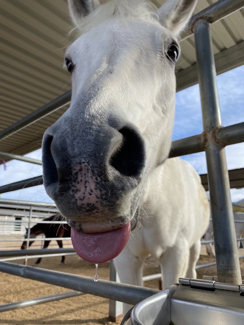 Photo of Cielo Tierra Ranch