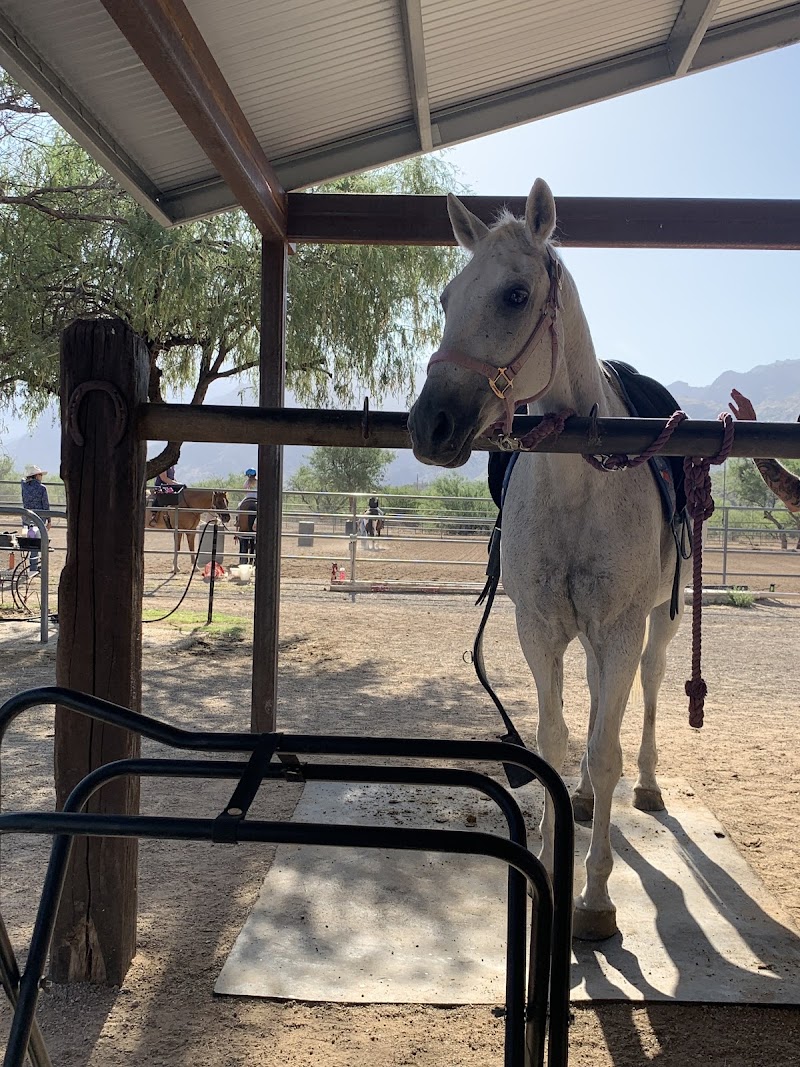 Cielo Tierra Ranch photo 4