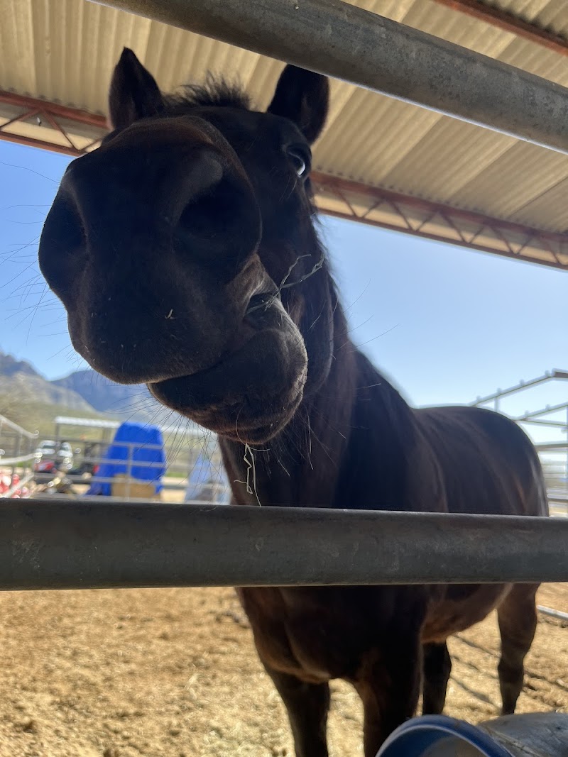 Cielo Tierra Ranch photo 3
