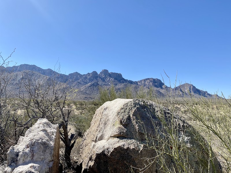 Cielo Tierra Ranch photo 5