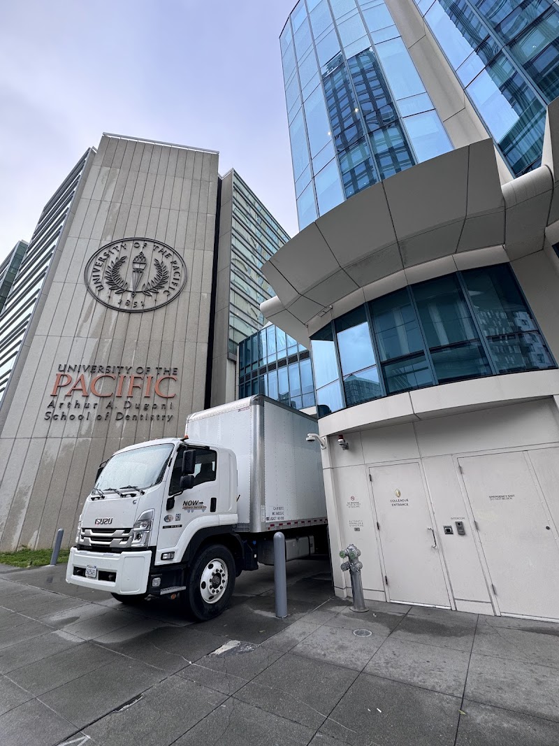 Now Delivery Service Inc. photo 5