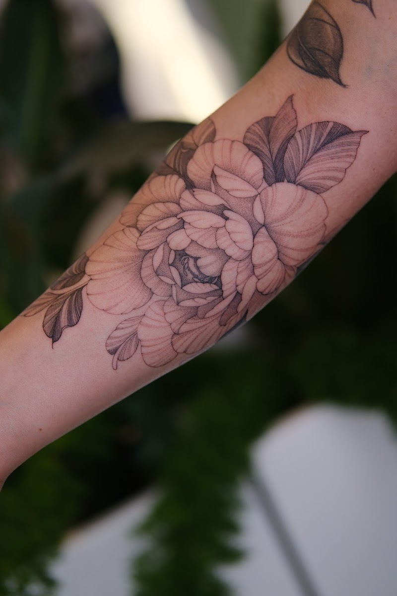 Sashatattooing Essential photo 3