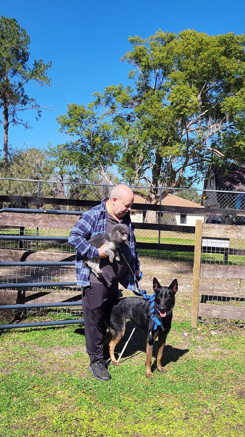 Photo of Backyard Dog Racing League