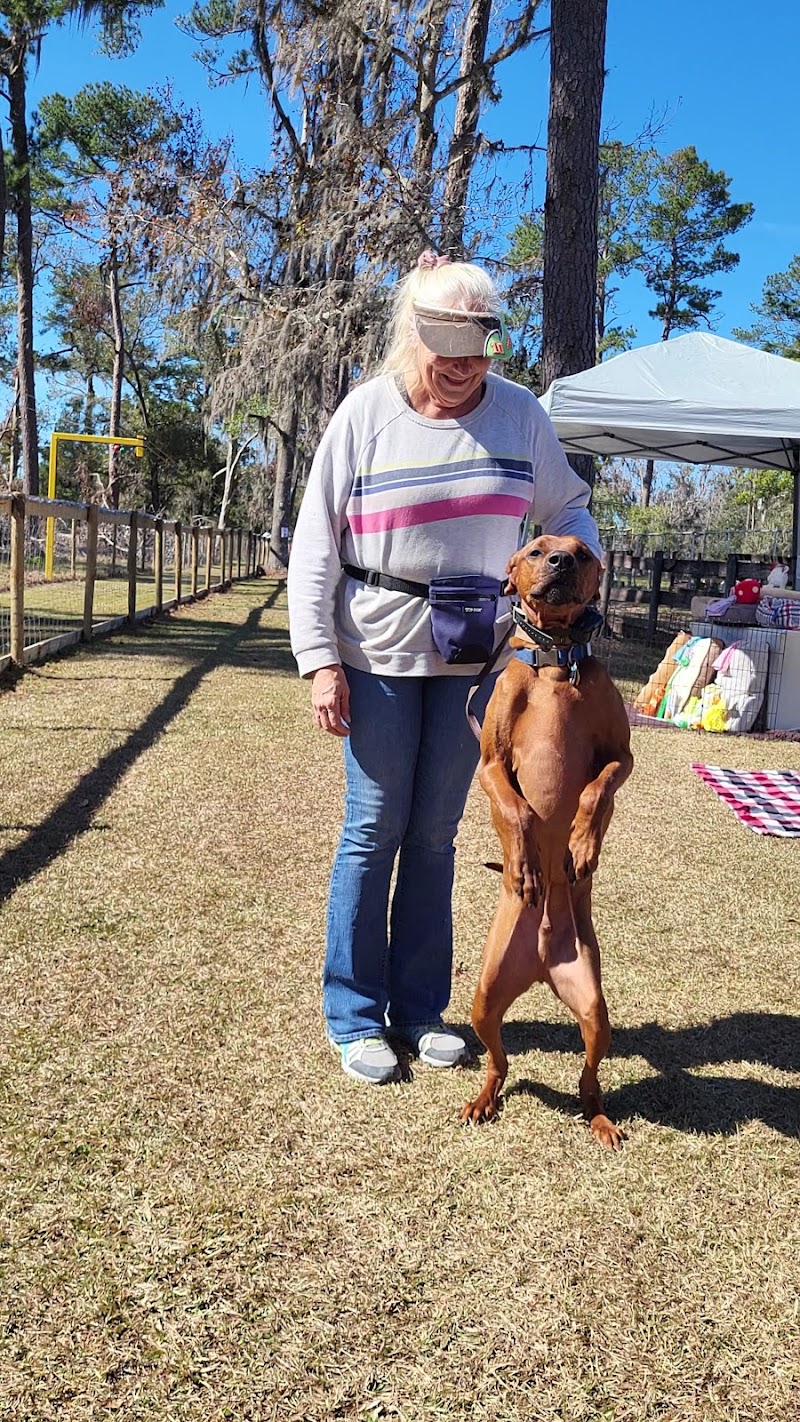 Backyard Dog Racing League photo 4