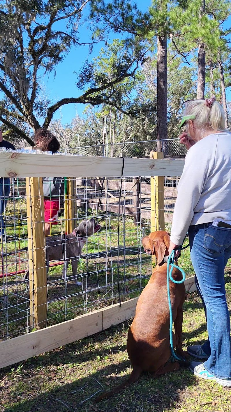 Backyard Dog Racing League photo 5