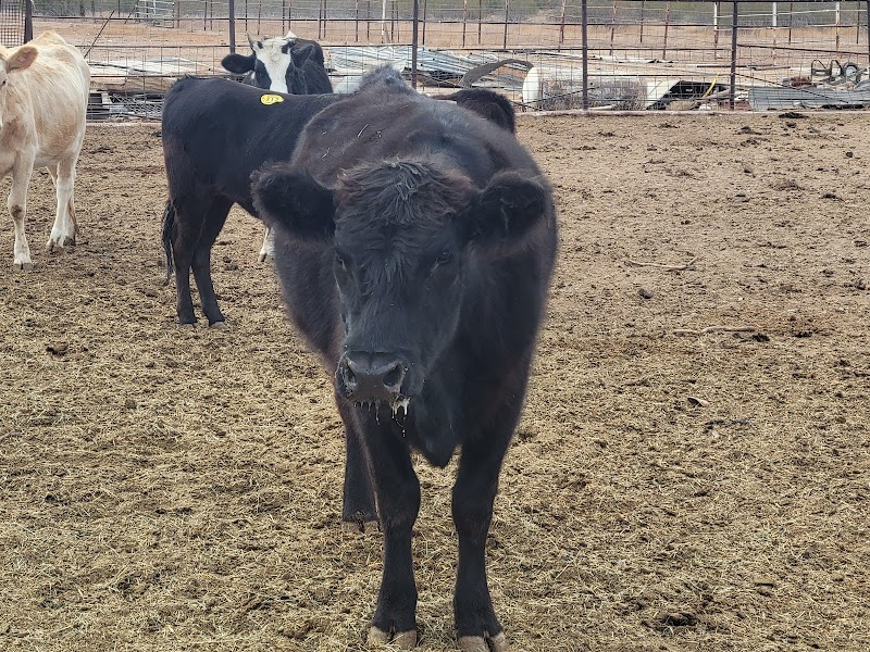Photo of JDMMK RANCH