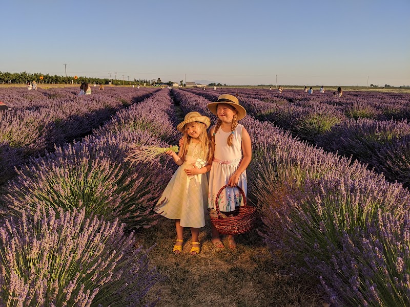 Araceli Farms photo 3