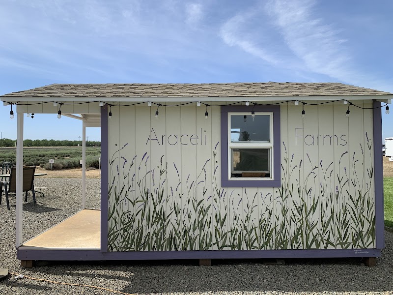 Araceli Farms photo 4