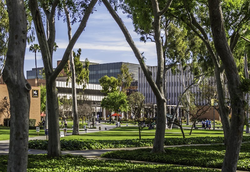 California State University Long Beach photo 5