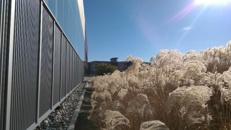 Recreation and Wellness Center (RAW) photo 3