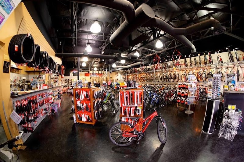 Global Bikes & E-Bikes - Ahwatukee photo 2