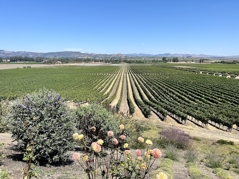 Gloria Ferrer Wines photo 2
