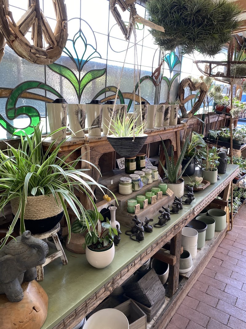 The Potting Shed photo 3
