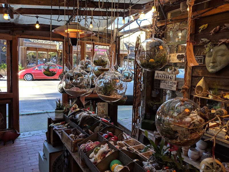 The Potting Shed photo 5