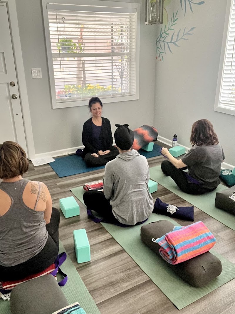 Cultivate Pelvic Health by Dr. Lauren Kriz, PT, DPT photo 2