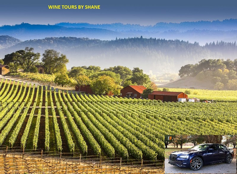 Wine Tours By Shane photo 2