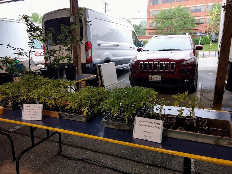 Anne Arundel County Farmers Market photo 5
