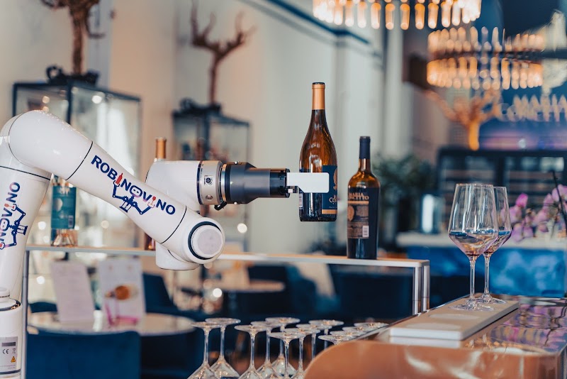RobinoVino - Robot-Sommelier Pouring Wine photo 2