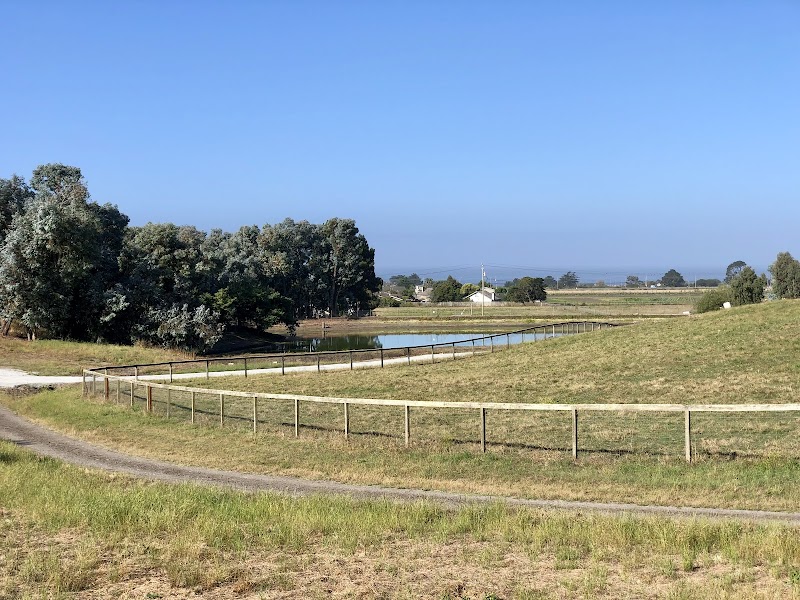 Branscomb Farms LLC photo 5