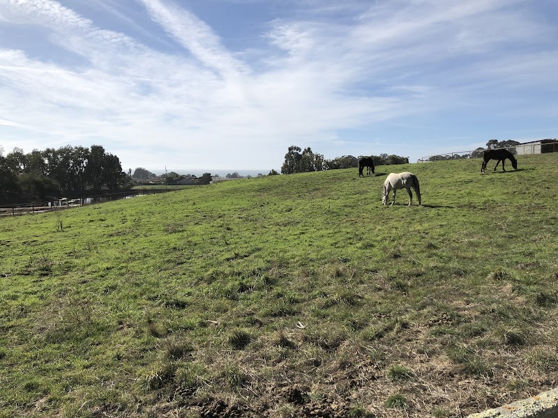 Branscomb Farms LLC photo 3