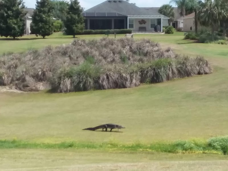 Bonita Pass Executive Golf Course photo 5
