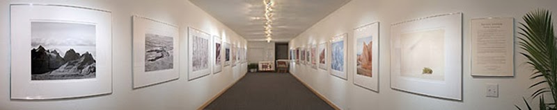 Photo of Stephen Johnson Photography‎