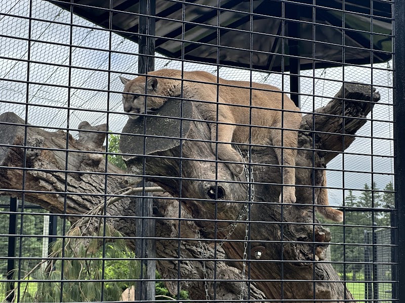 Oxbow Park & Zollman Zoo photo 4
