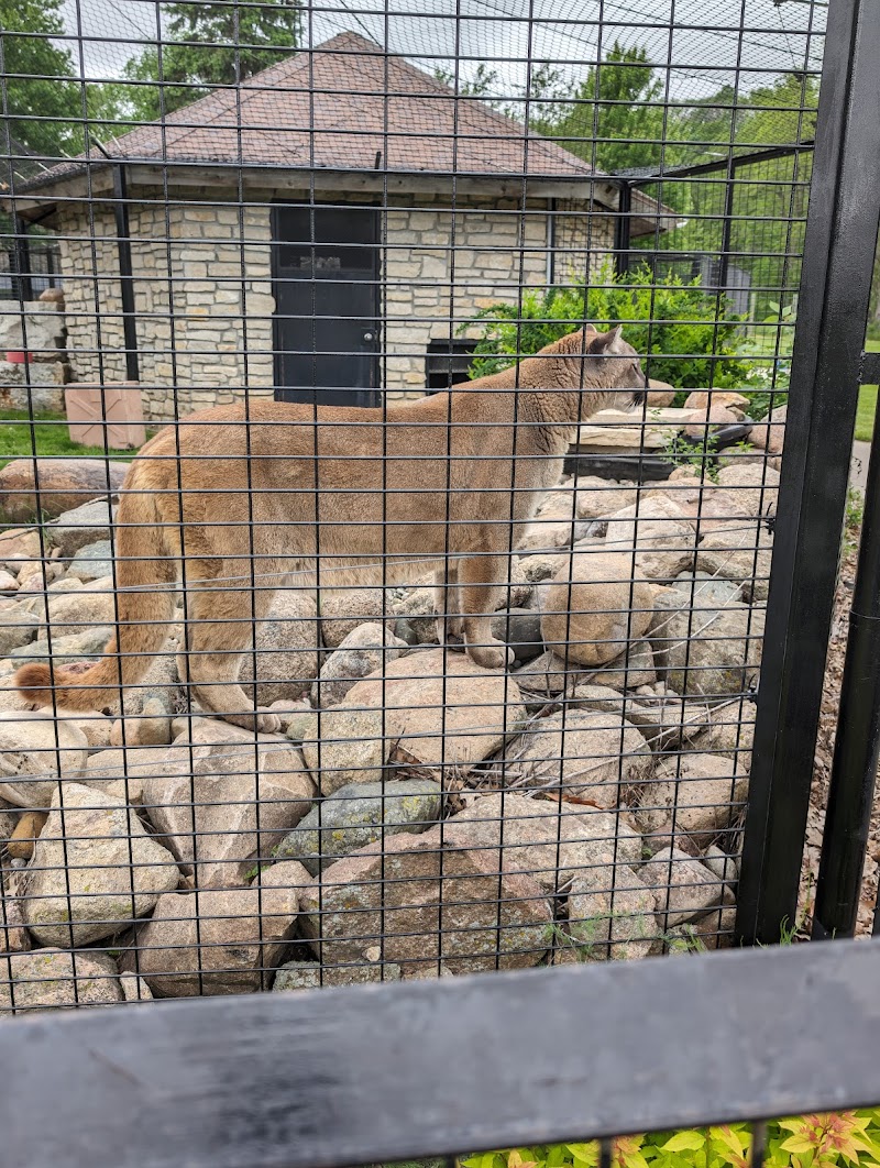 Oxbow Park & Zollman Zoo photo 3