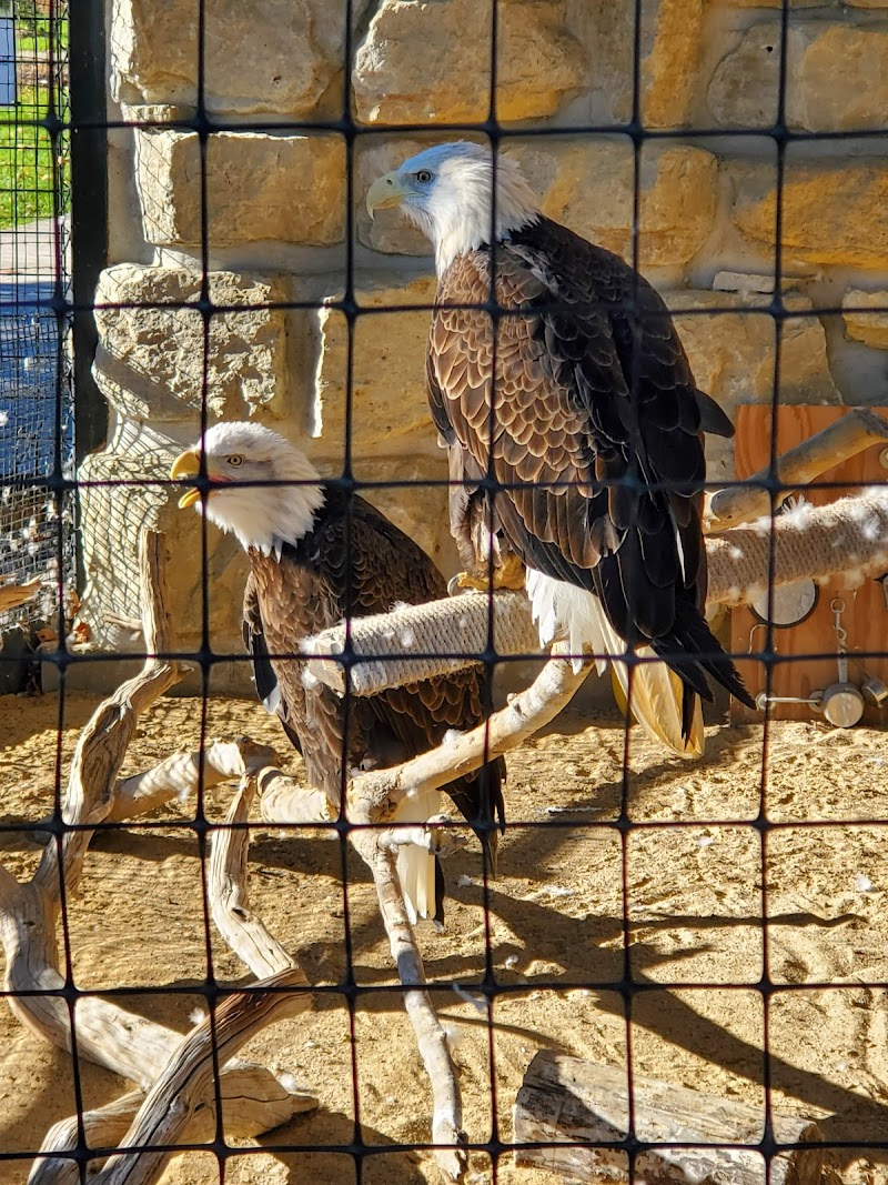 Oxbow Park & Zollman Zoo photo 5