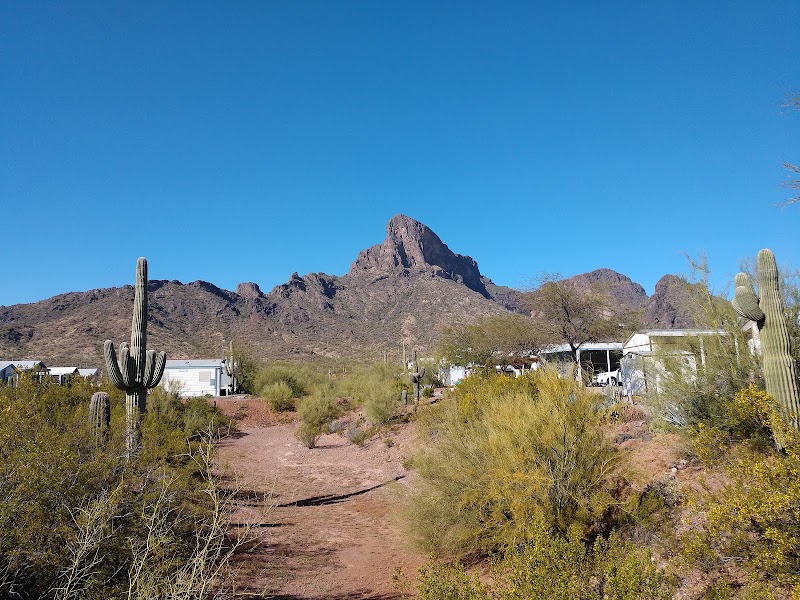 Picacho Peak RV Resort photo 3