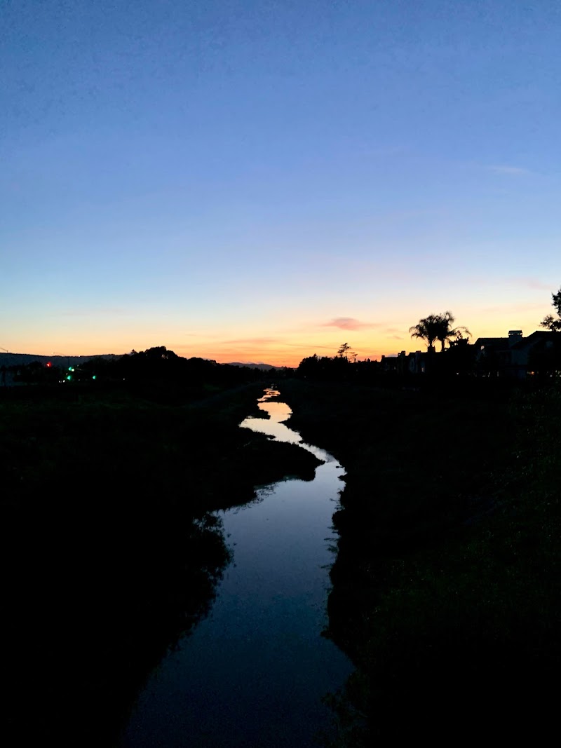 The bridge photo 5