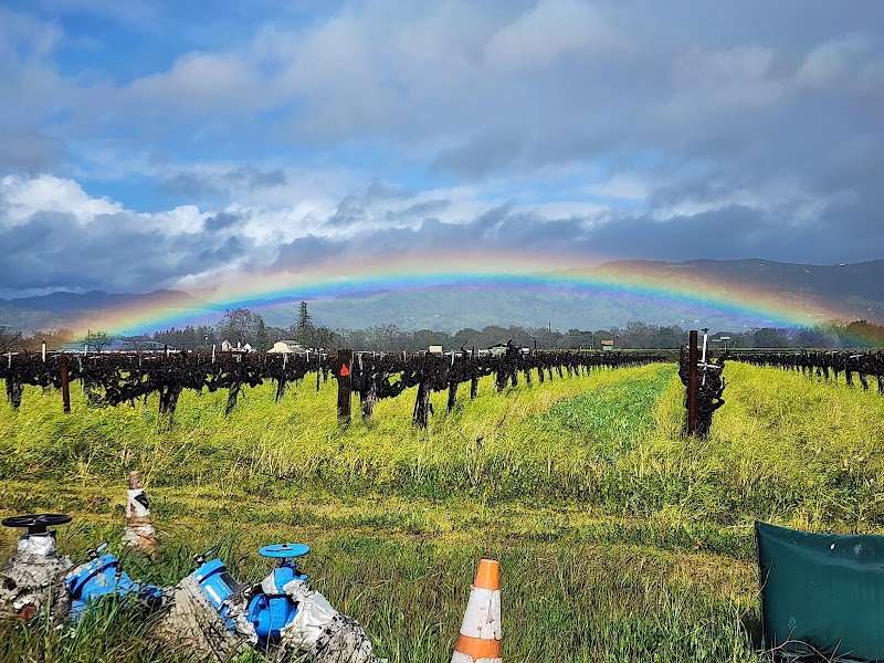 Saint Helena Winery photo 4