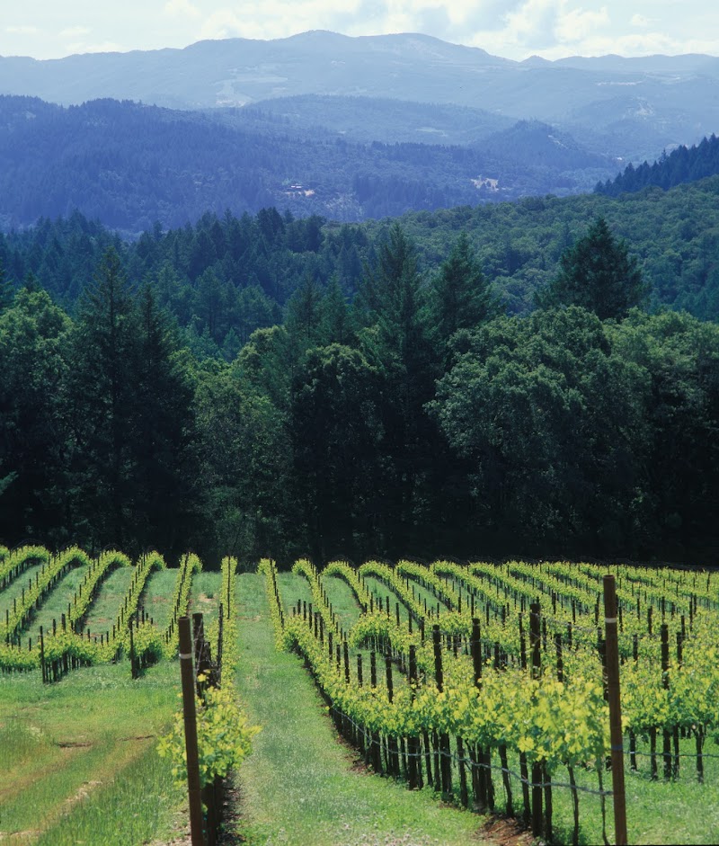 Schramsberg Vineyards photo 2