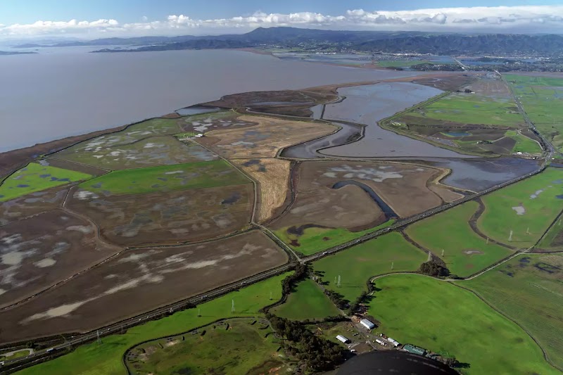 Photo of Napa-Sonoma Marshes Wildlife Area - Tolay Creek Unit (Tubbs Island)
