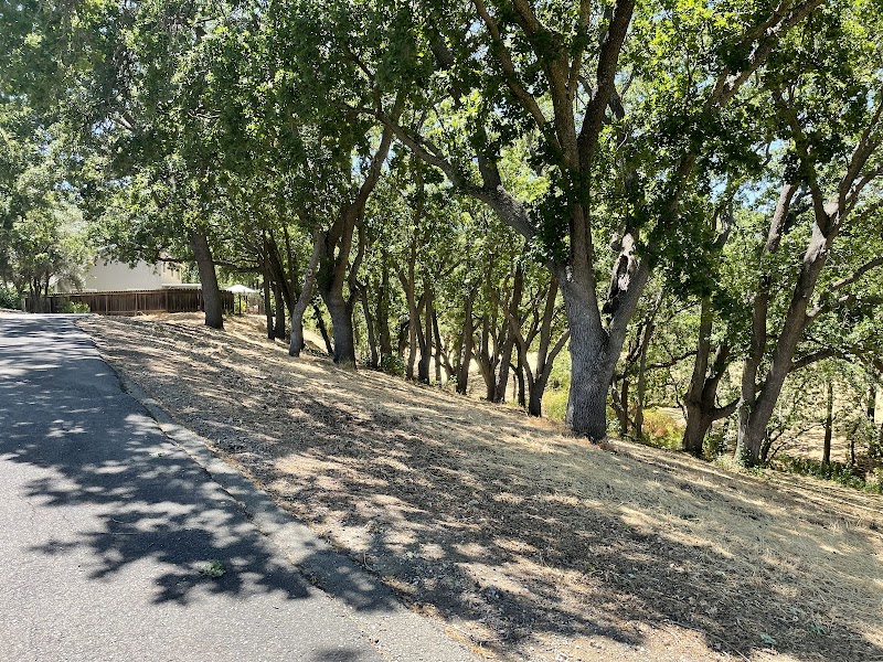 Dana Hills Park photo 3