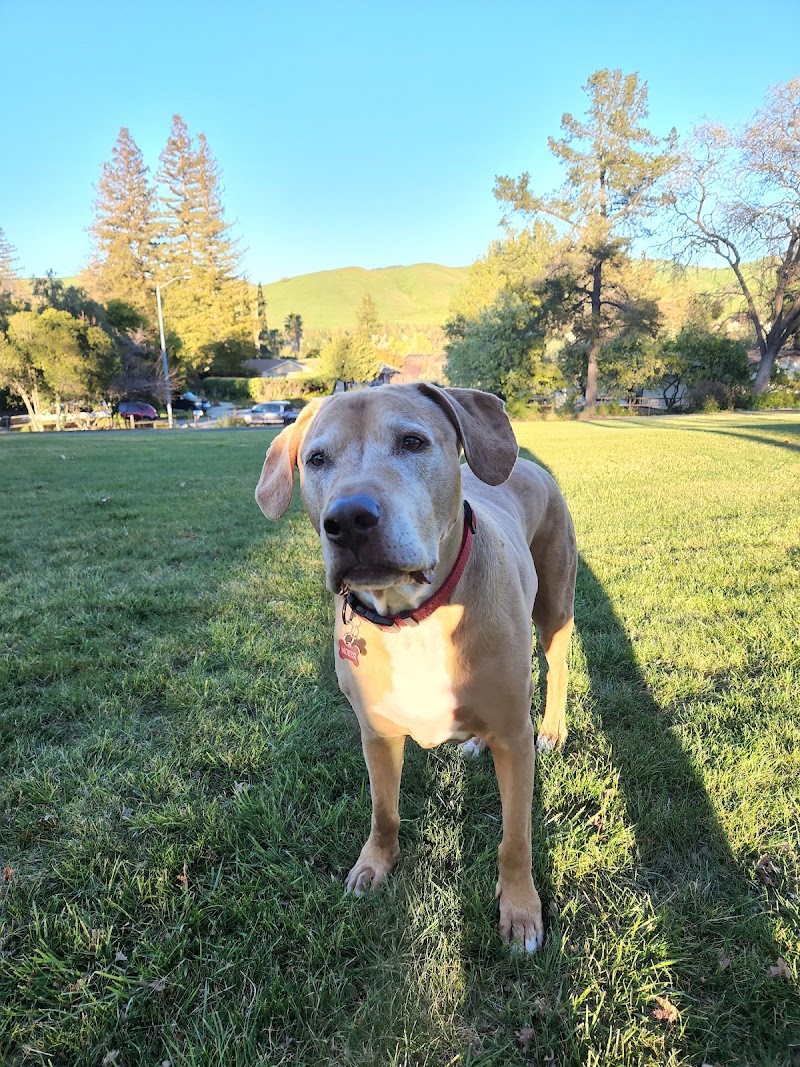 Dana Hills Park photo 2