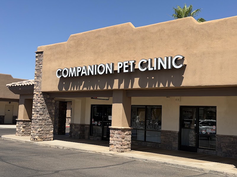 Companion Pet Clinic of North Phoenix photo 2