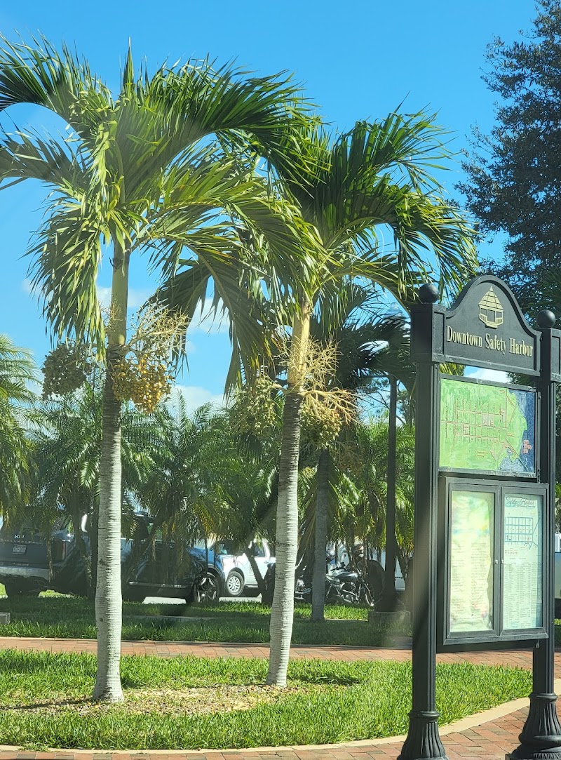 Photo of Safety Harbor Little League